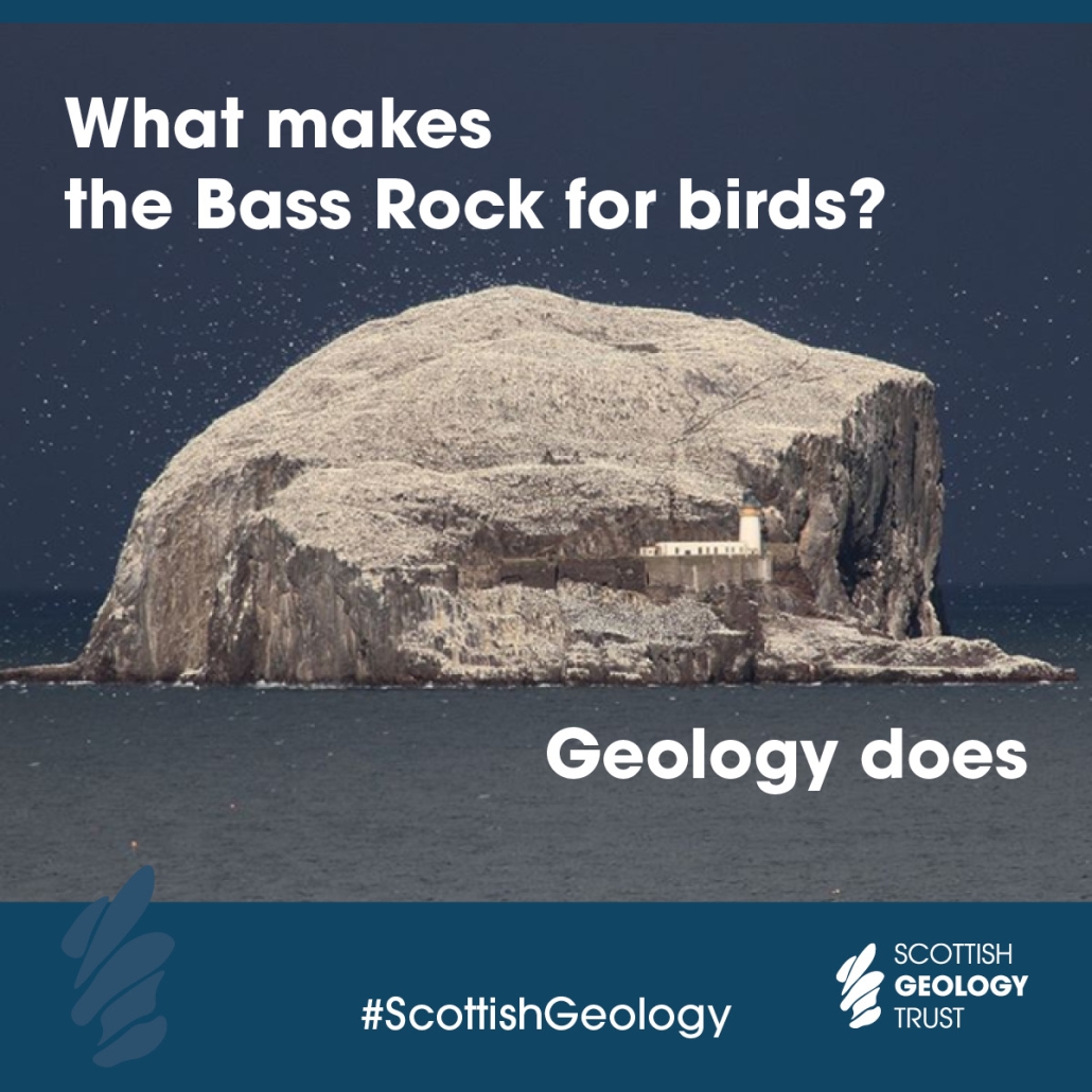 scottish-geology-trust-geology-does-bass-rock1