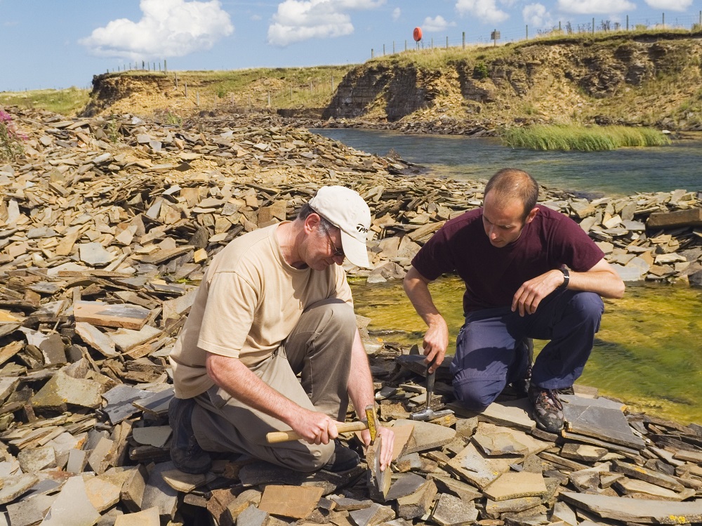 Splitting open ‘Achanarras Limestone’ from a spoil heap in the hope of finding a fossil fish on a bedding plane of the rock.