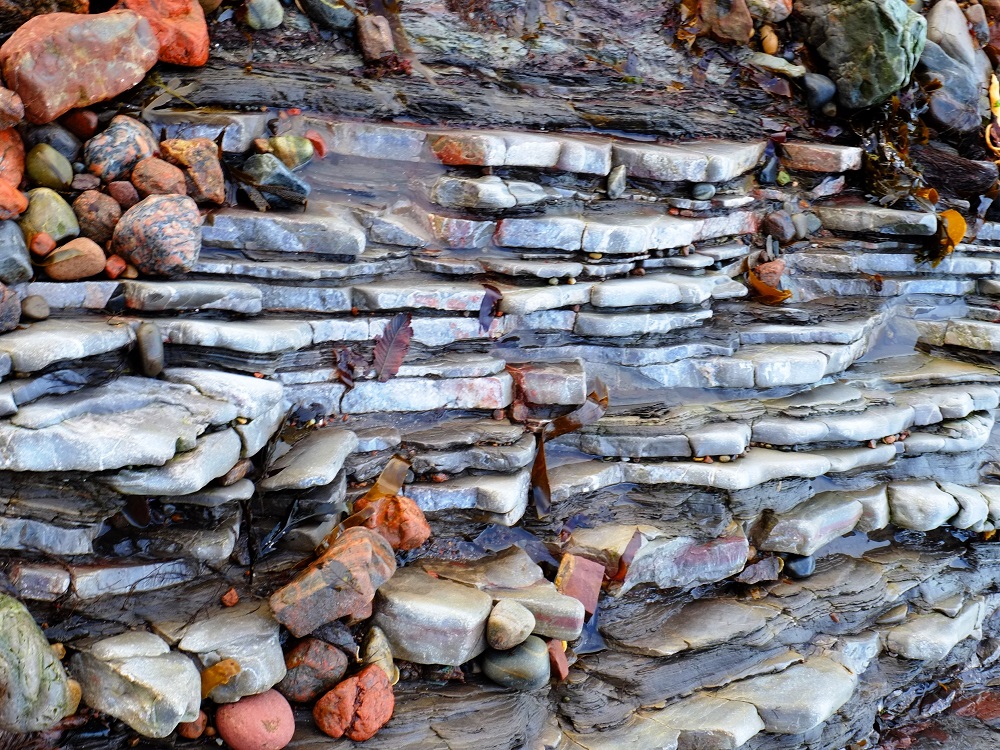 Section of nodule bearing strata (1metre thick): Miller split these nodules open to find many contained fossilised fish remains.