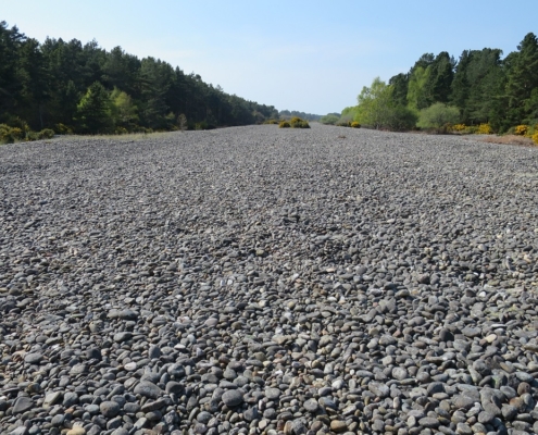 Part of the ‘Sea of Stones’. The whole system is up to 700 metres long and several kilometres long, but it is largely obscured by trees, whins and a military firing range which has been built across the middle of it.