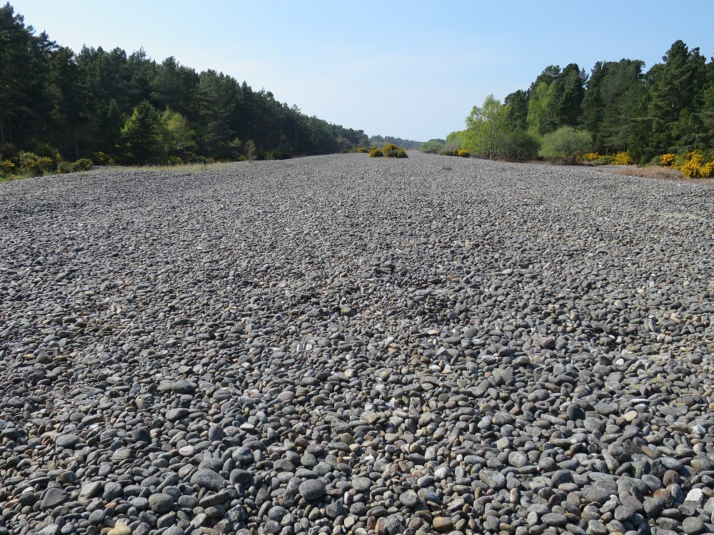 Part of the ‘Sea of Stones’. The whole system is up to 700 metres long and several kilometres long, but it is largely obscured by trees, whins and a military firing range which has been built across the middle of it.