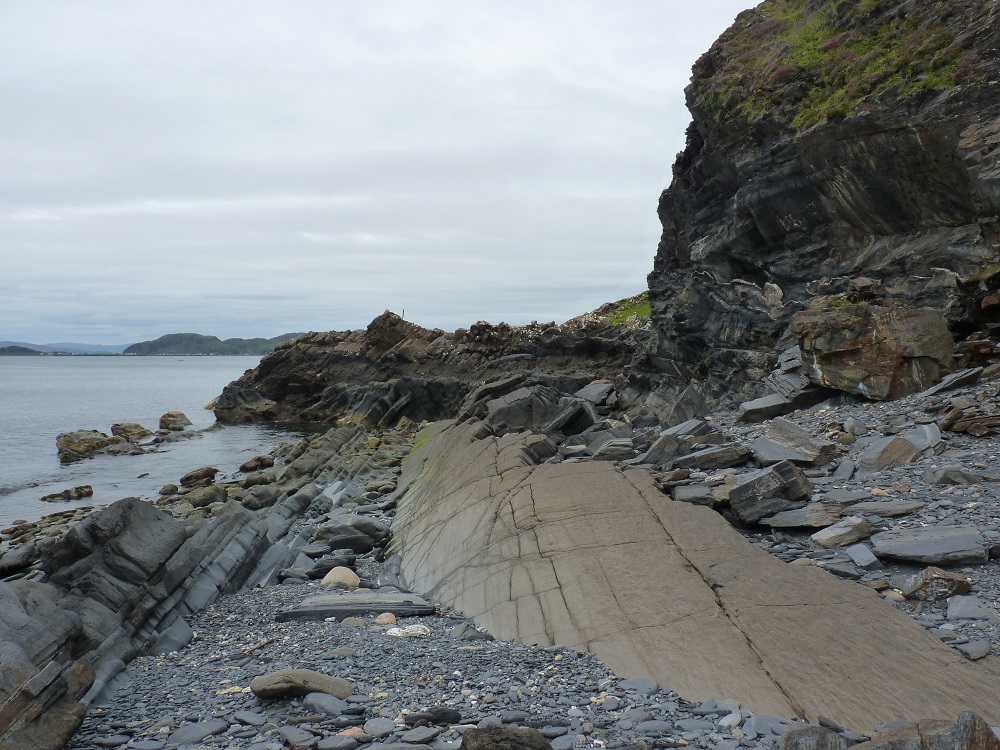 Folded sandstone layer amongst slate exposures on the island of Luing.