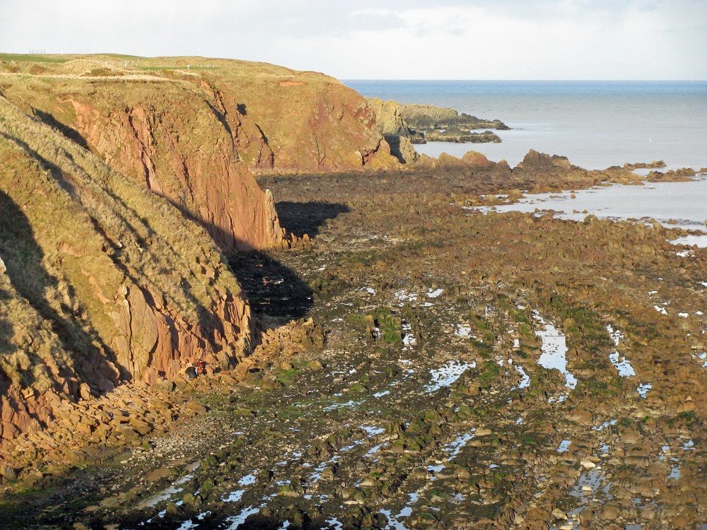 Stonehaven. Crumbling cliffs of vertical sandstones and mudstones fronted by a well-developed wave-cut platform where the sandstones stand out as jagged layers separated by water-filled hollows where mudstone has been eroded.