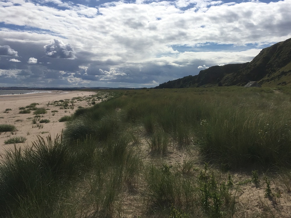 St Cyrus Beach NNR