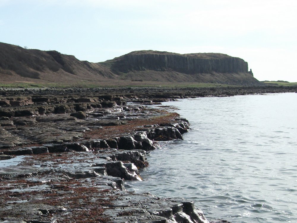 Triassic sedimentary rocks that contain reptile trackways, with the columnar igneous rocks of the Drumadoon sill in the background.