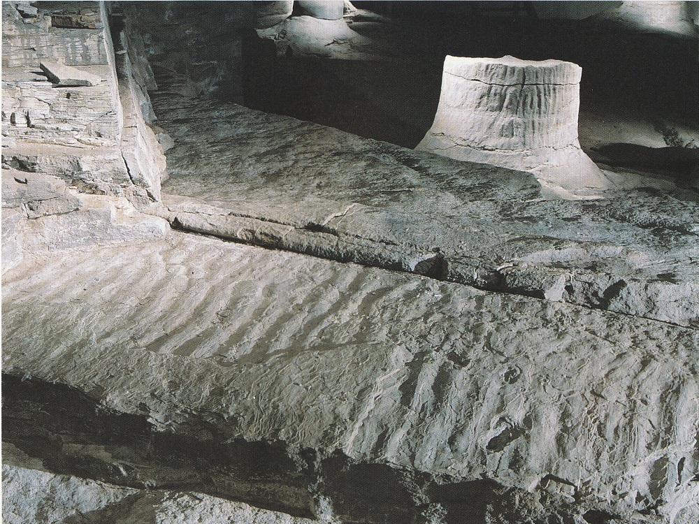 Lycopod tree stumps and ripple marks in the Fossil Grove, Glasgow.