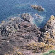 Siccar Point, viewed from the top of the cliff.