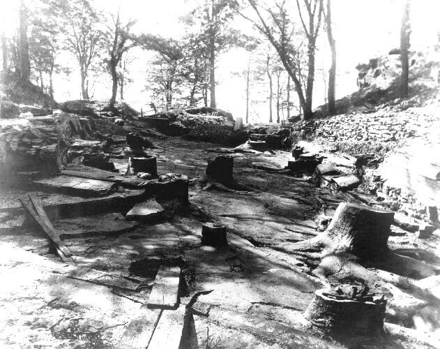 Fossil Grove, Glasgow 1887