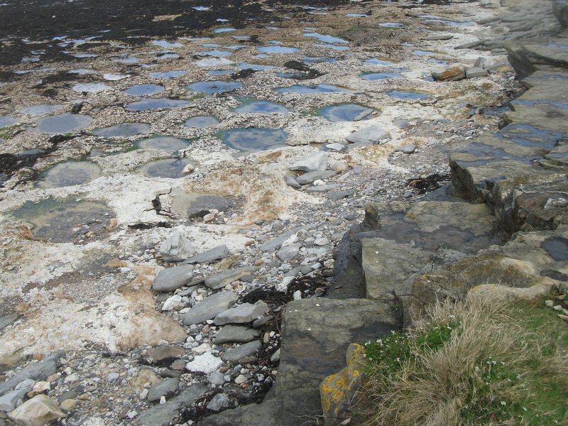 Barns Ness limestone.
