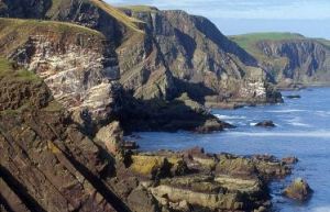 Pettico Wick, near St Abbs