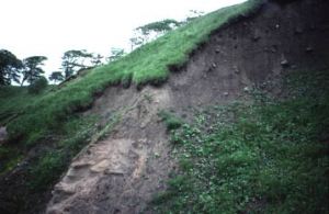 Glacial till and fluvioglacial deposits near Muirkirk, Ayrshire.