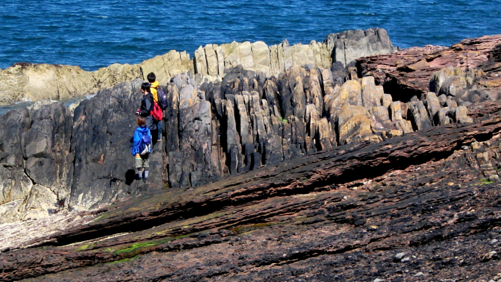 Siccar Point Image Photograph of visitors exploring Siccar Point. The foreground shows red sandstones gently dipping to the left. These lie on top of grey rocks with vertical bedding that are visible in the mid-ground. The visitors are stood on top of the grey rocks. In the very top of the image, the sea is blue.